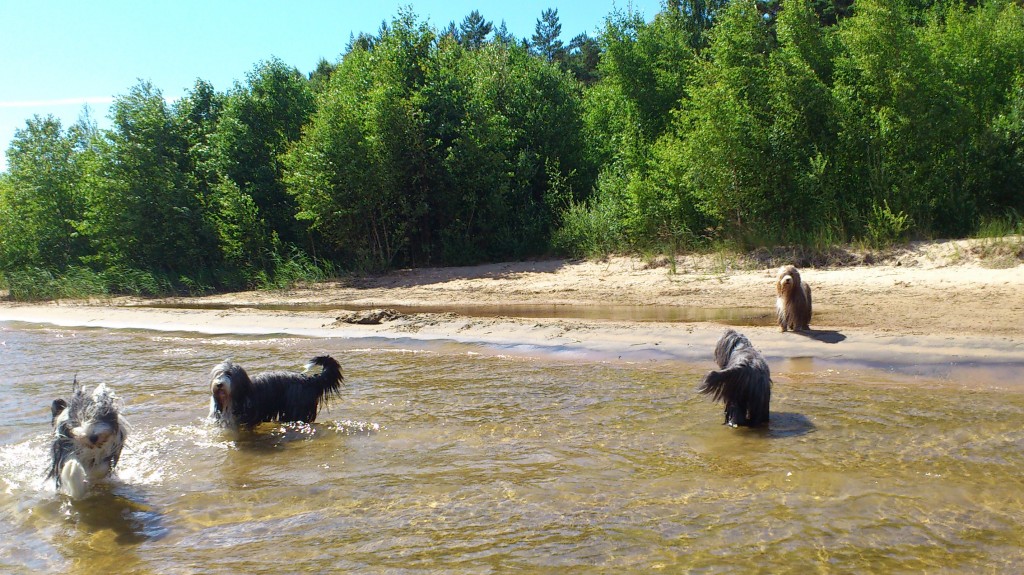 hundbadDSC_0465