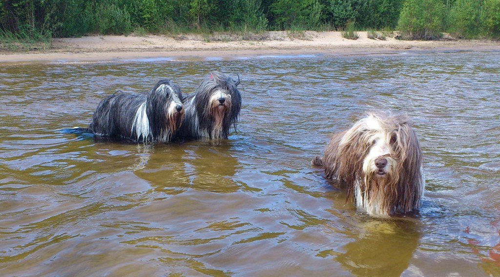 hundbadDSC_0493