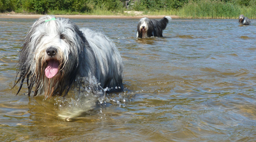 Barney njuter i fulla drag!