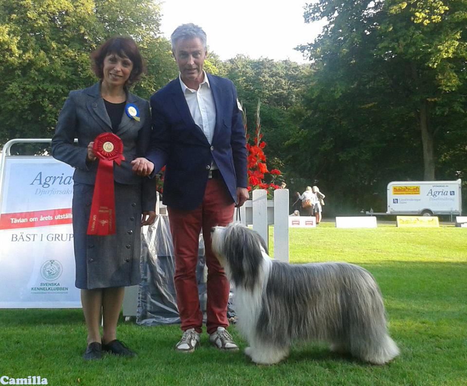 BIG Sofiero "Sammeth" SE JV-12 SE UCH Alistair's Perfect Mix
