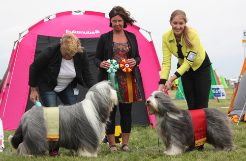 BIM Ch Goonie's Highlander Lad BIR Ch Duchess Montebello Smartes