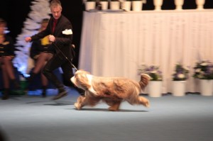 IMG_0073 (800x533)