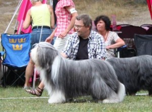 LidaIMG_7472