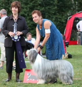 Beardie superstar Birgitta Svarstad, Charlotte Laning med Old Smuggler's Firecracker